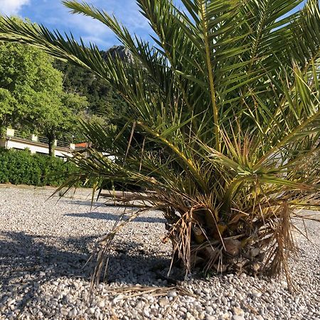 Villa Sabine Apartment Losinj Medveja Exteriér fotografie